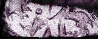 untitled_9 thumb