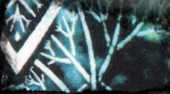 trancendence back
